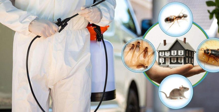 Yahşihan Böcek İlaçlama