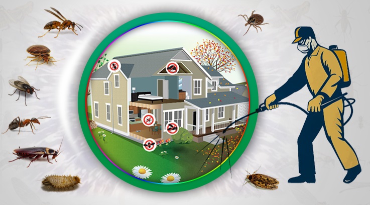 Yahşihan Böcek İlaçlama