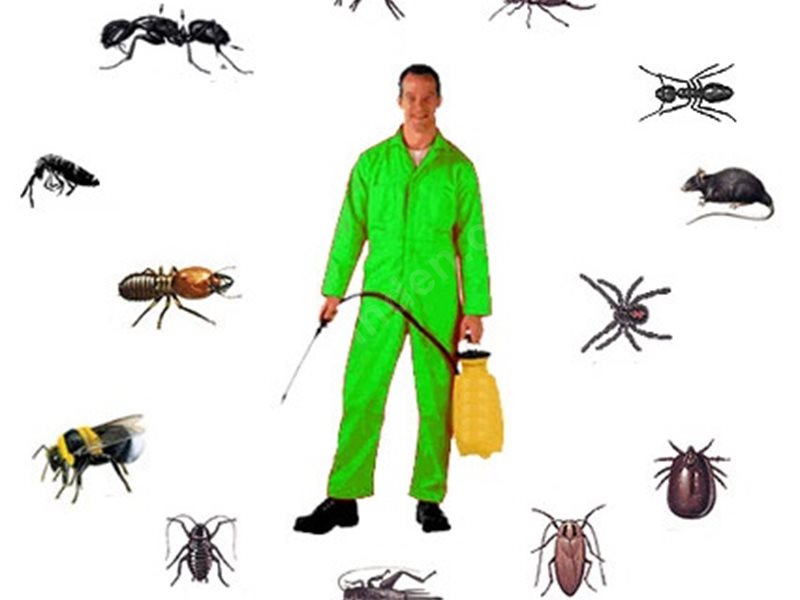 Yahşihan Böcek İlaçlama